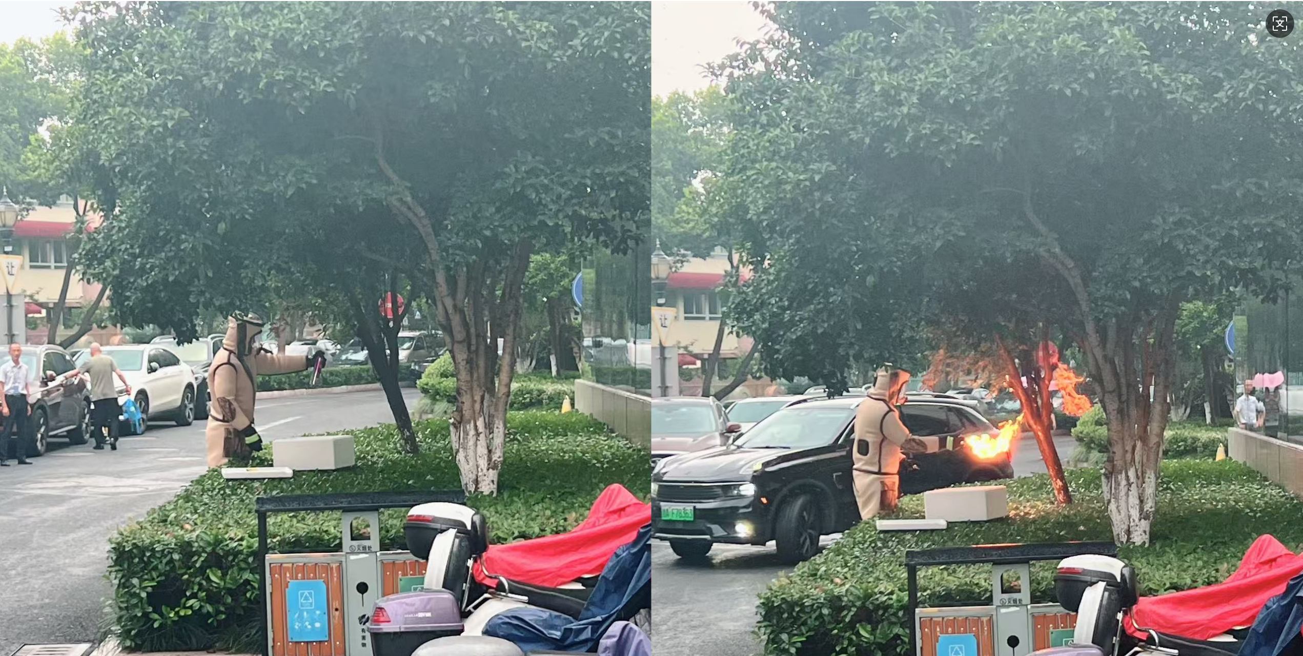 安全守護零距離，水晶城快速處置外圍蜂群隱患